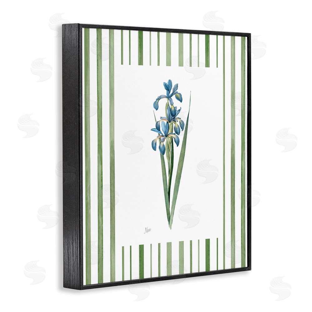 Nan Spring Irises with Stripes Black Framed Giclee Wall Art Print
