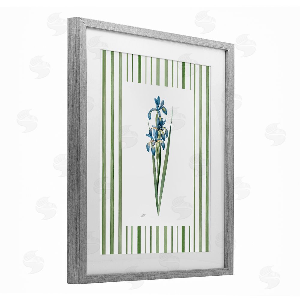 Nan Spring Irises with Stripes Gray Framed Print Under Glass Wall Art