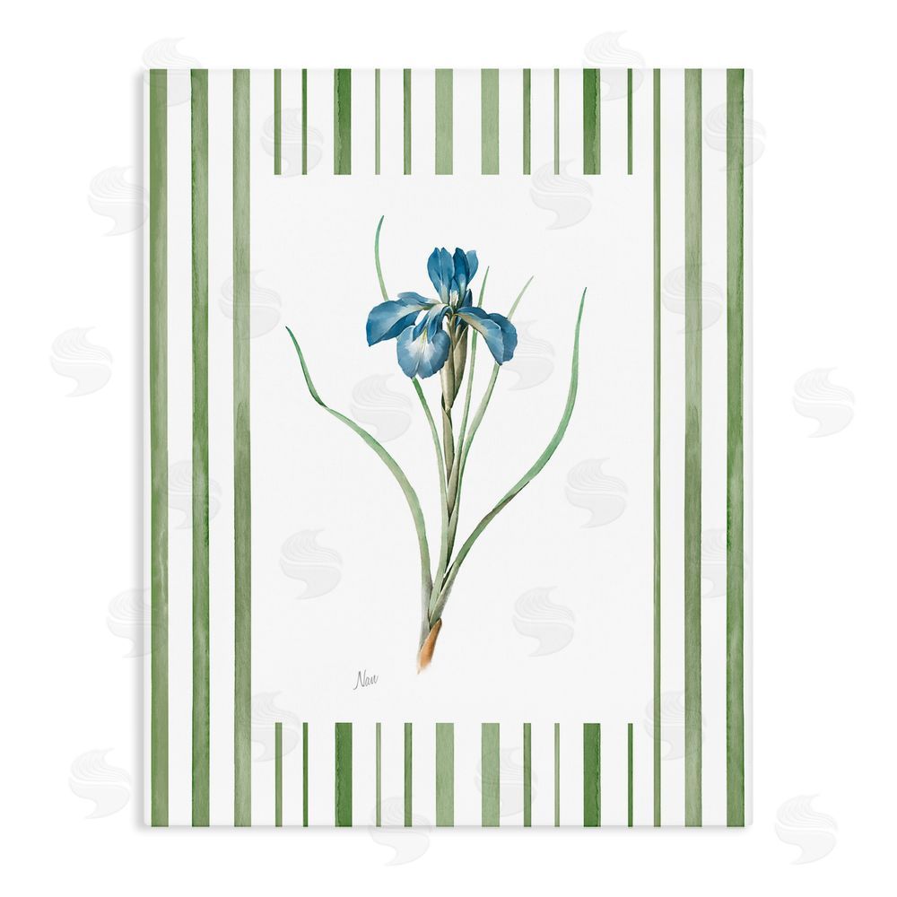 Nan Spring Iris And Stripes Stretched Canvas Wall Art Print
