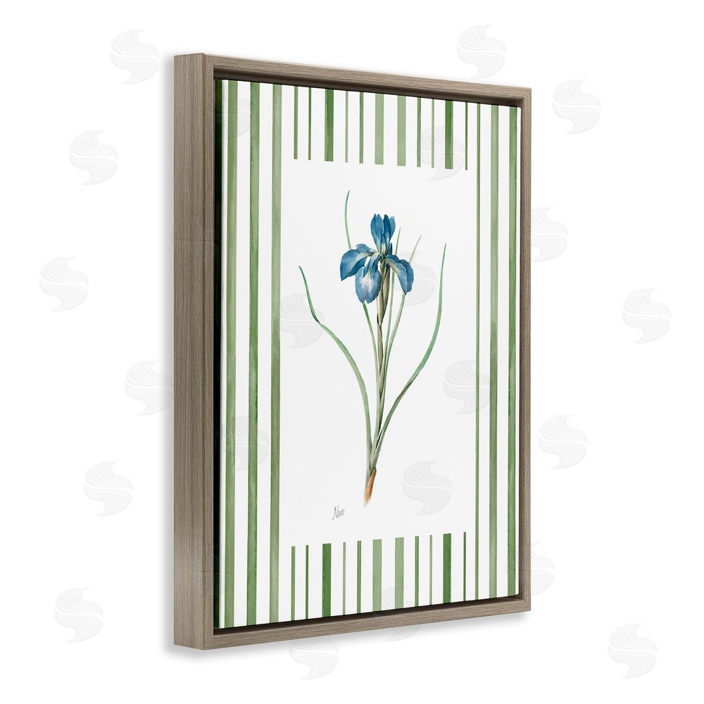 Nan Spring Iris And Stripes Brown Floating Frame Canvas Wall Art Print
