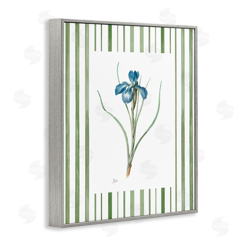 Nan Spring Iris And Stripes Gray Framed Giclee Wall Art Print