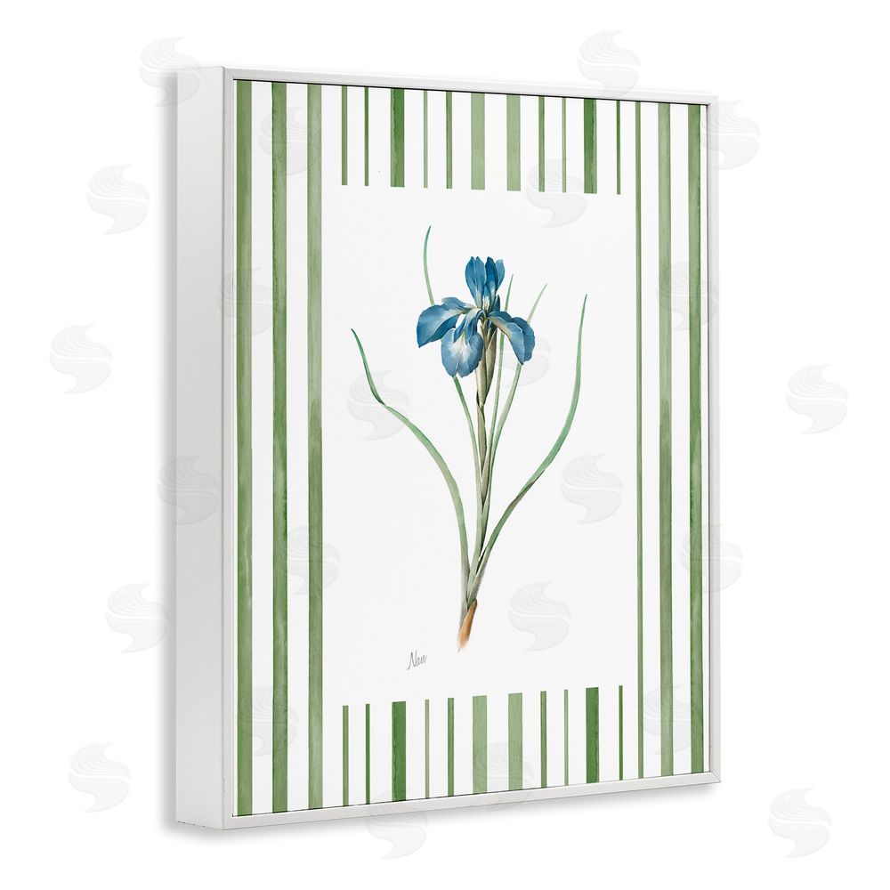 Nan Spring Iris And Stripes White Framed Giclee Wall Art Print