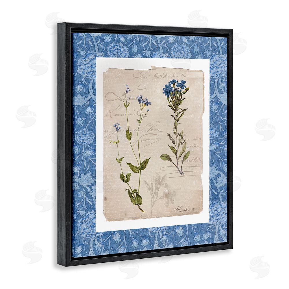 Livi Finn Blue Vintage Botanicals Black Floating Frame Canvas Wall Art Print