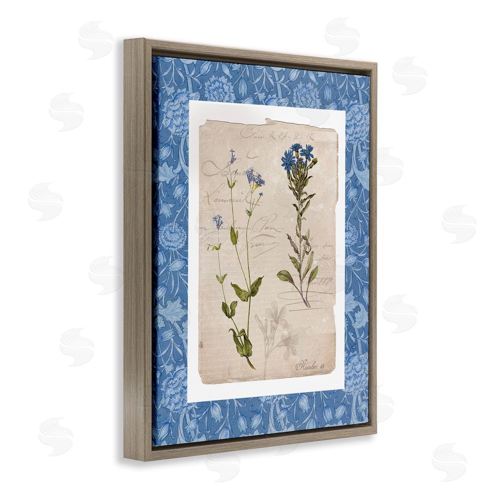 Livi Finn Blue Vintage Botanicals Brown Floating Frame Canvas Wall Art Print
