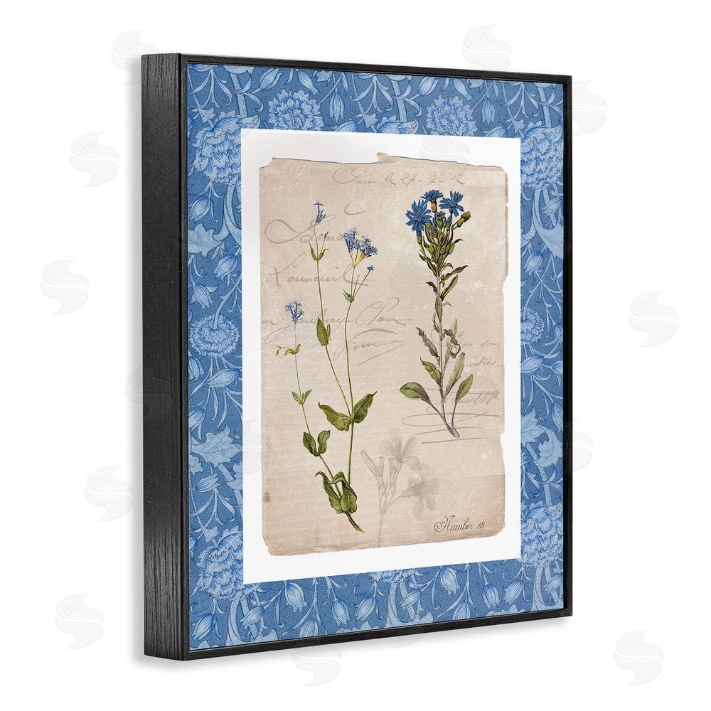 Livi Finn Blue Vintage Botanicals Black Framed Giclee Wall Art Print