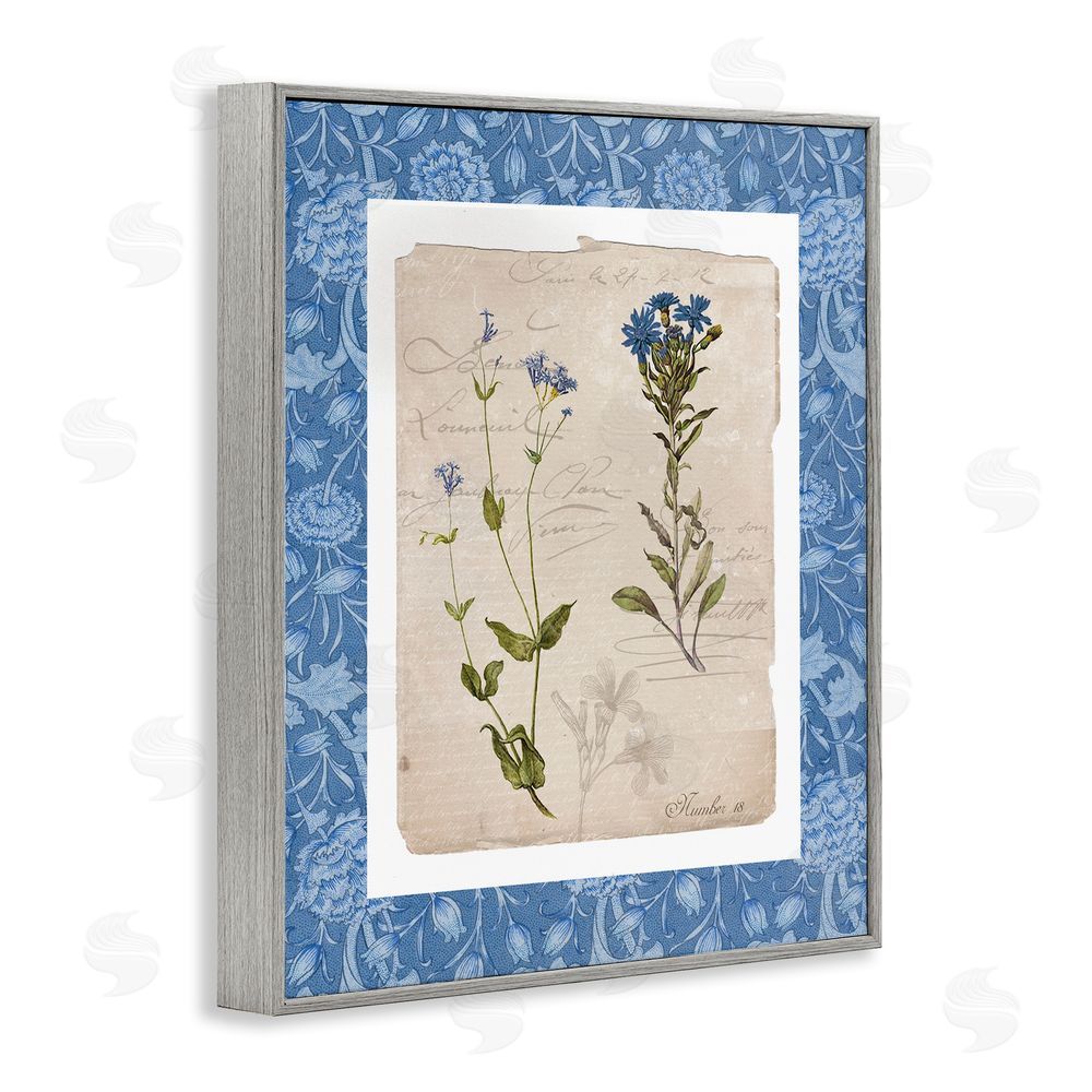 Livi Finn Blue Vintage Botanicals Gray Framed Giclee Wall Art Print