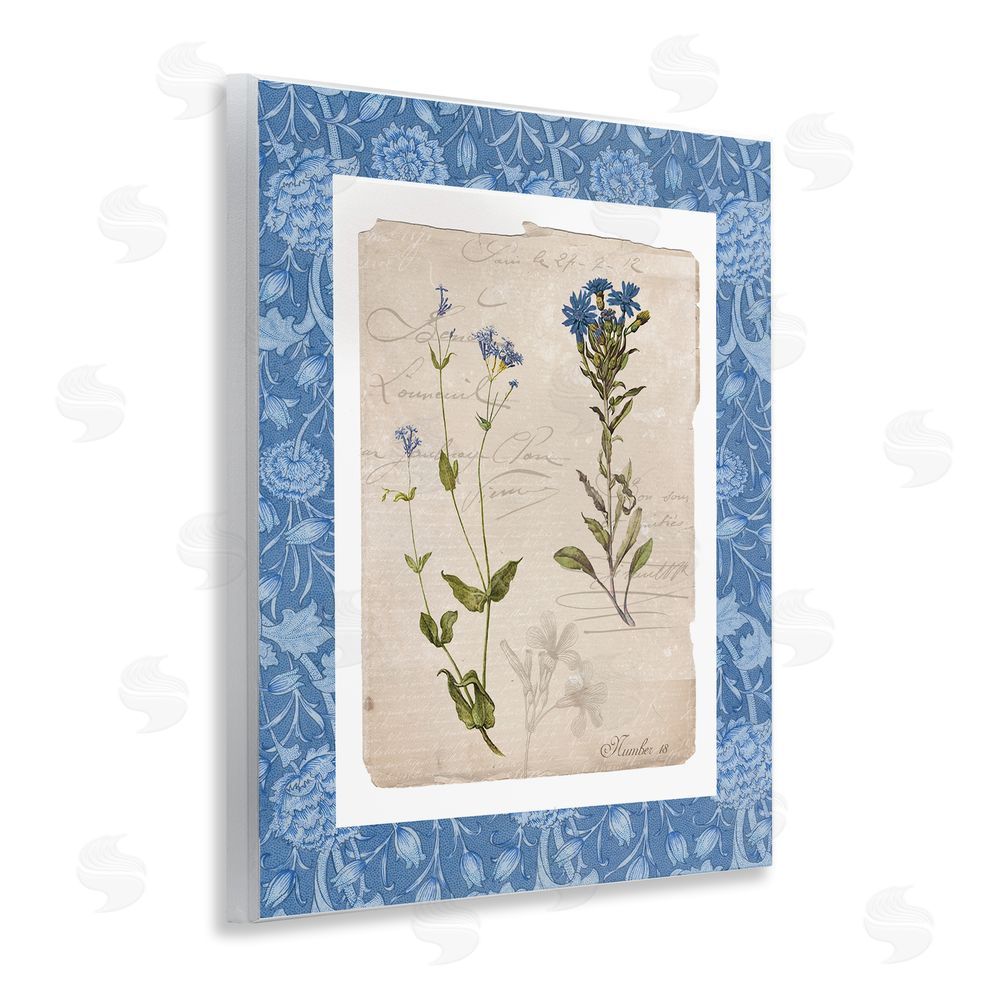 Livi Finn Blue Vintage Botanicals Wall Plaque Art Print