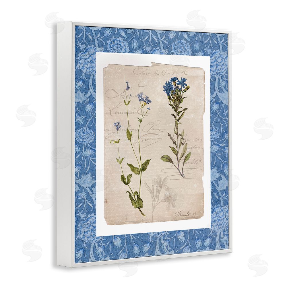Livi Finn Blue Vintage Botanicals White Framed Giclee Wall Art Print