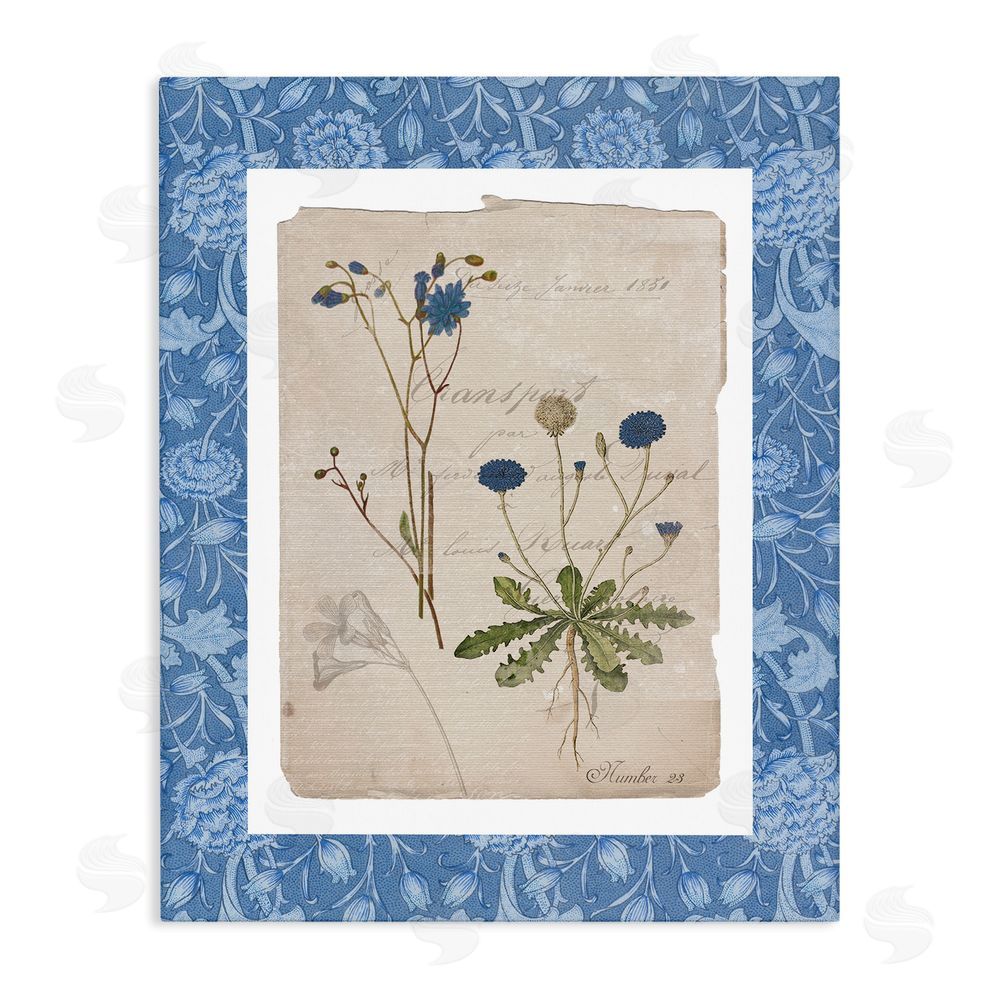 Livi Finn Blue Antique Herbs Stretched Canvas Wall Art