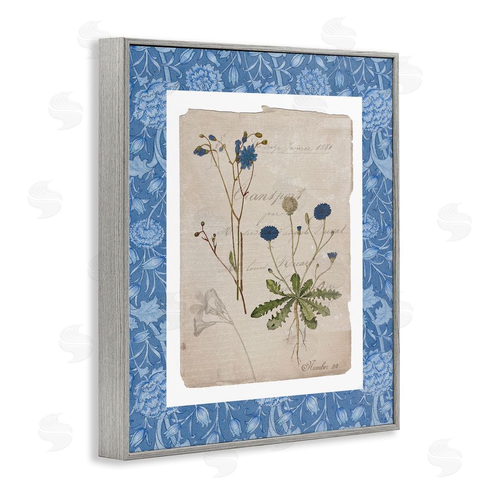 Livi Finn Blue Antique Herbs Gray Framed Giclee Wall Art Print