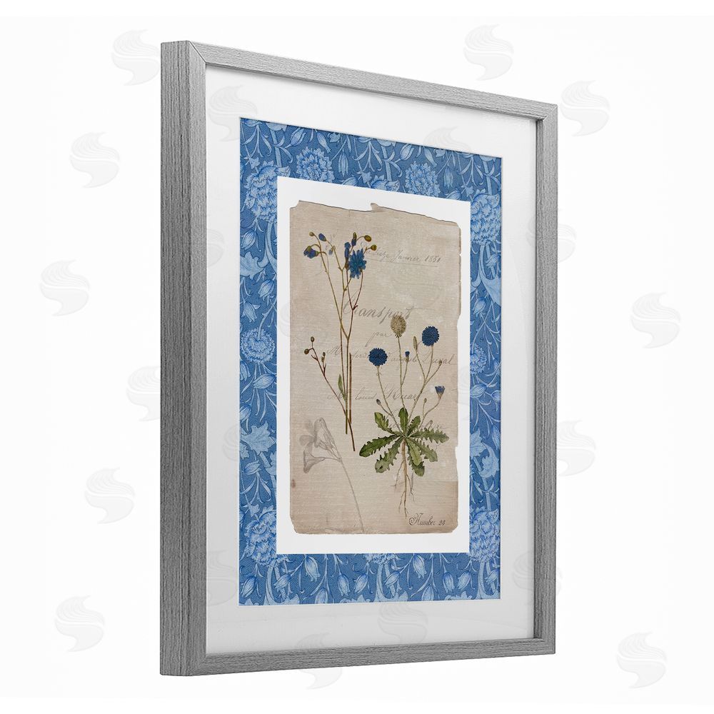Livi Finn Blue Antique Herbs Gray Framed Print Under Glass Wall Art