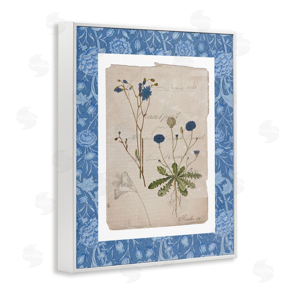 Livi Finn Blue Antique Herbs White Framed Giclee Wall Art Print