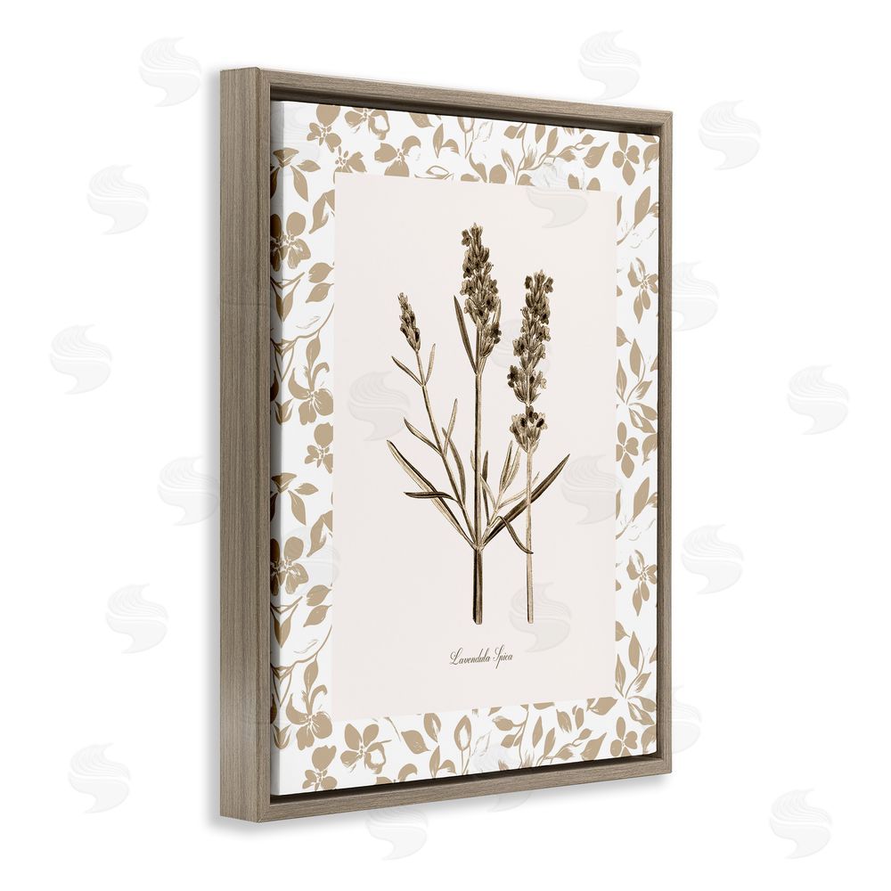 Kelly Donovan Neutral Imperial Herb Study Brown Floating Frame Canvas Wall Art Print