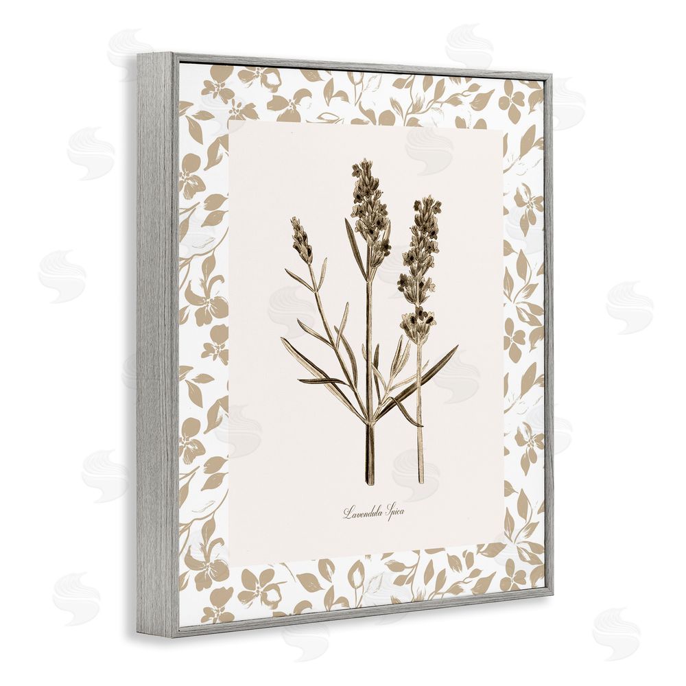 Kelly Donovan Neutral Imperial Herb Study Gray Framed Giclee Wall Art Print