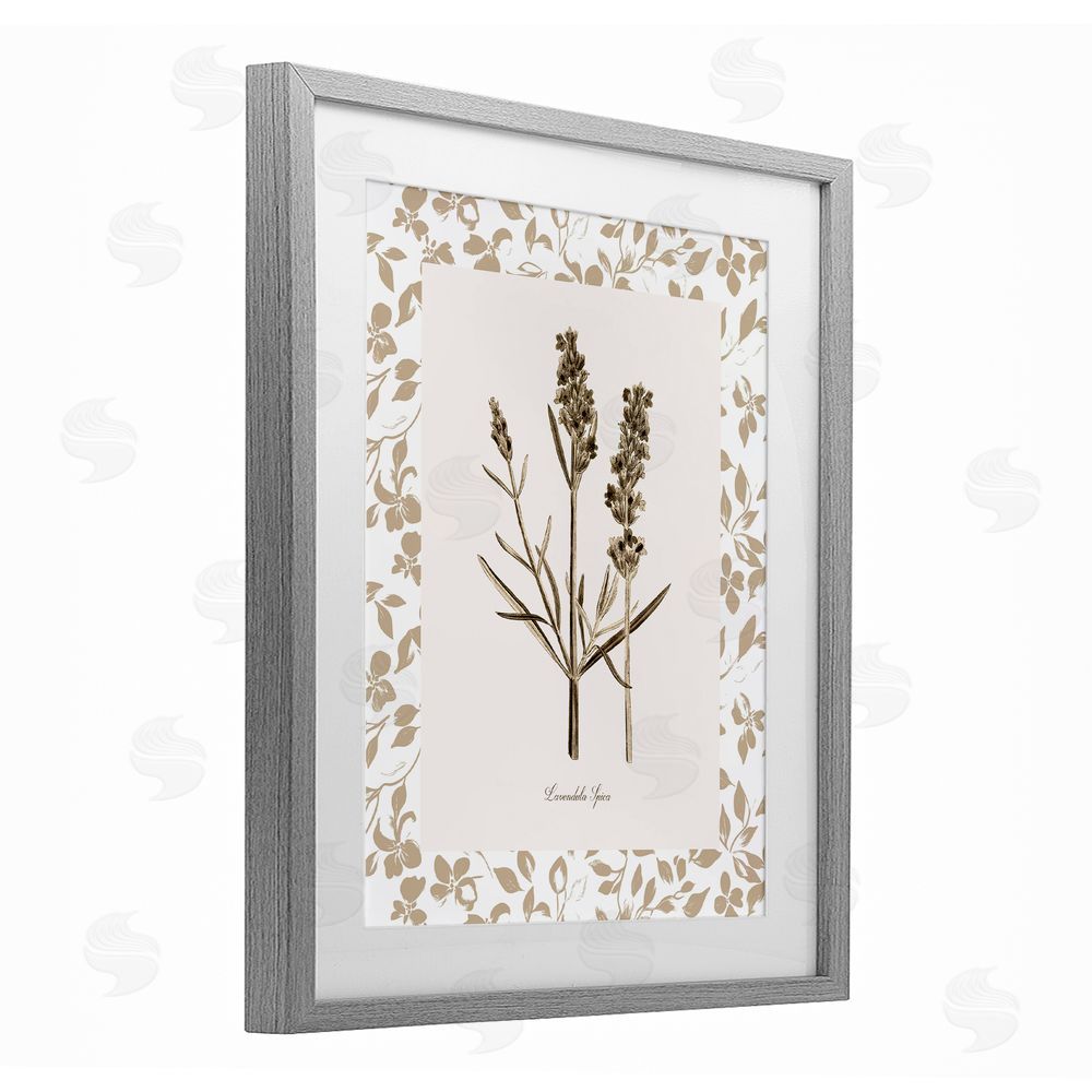 Kelly Donovan Neutral Imperial Herb Study Gray Framed Print Under Glass Wall Art