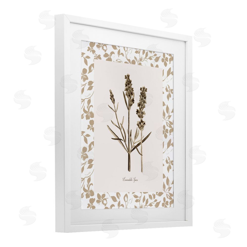 Kelly Donovan Neutral Imperial Herb Study White Framed Print Under Glass Wall Art
