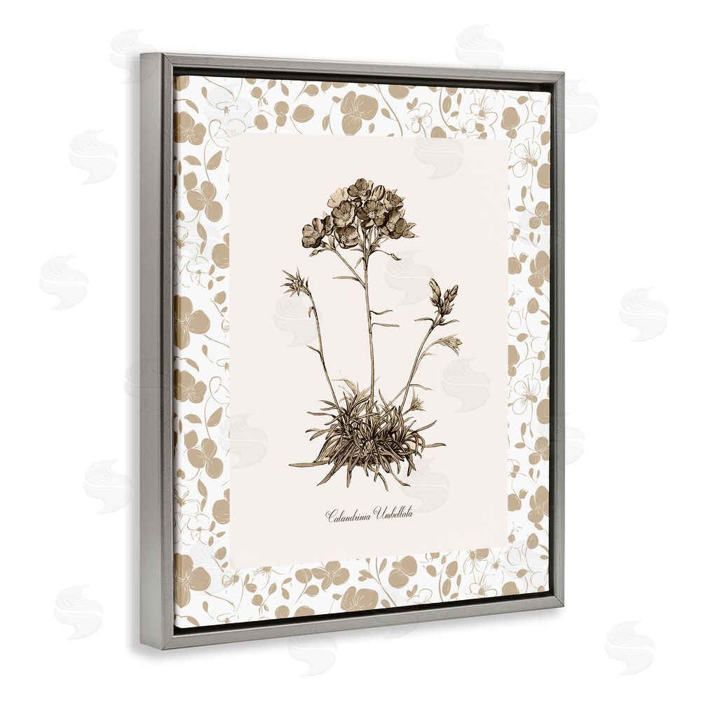 Kelly Donovan Neutral Imperial Flower & Herb Gray Floating Frame Canvas Wall Art Print
