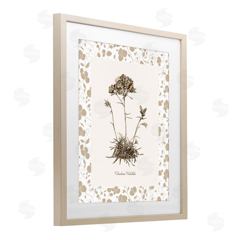 Kelly Donovan Neutral Imperial Flower & Herb Birch Framed Print Under Glass Wall Art