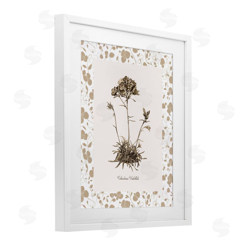 Kelly Donovan Neutral Imperial Flower & Herb White Framed Print Under Glass Wall Art