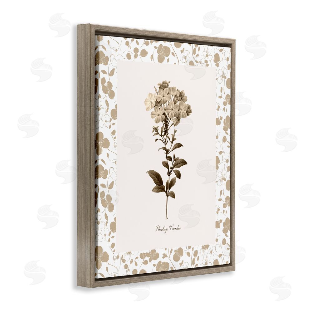 Kelly Donovan Neutral Imperial Botanical Brown Floating Frame Canvas Wall Art Print