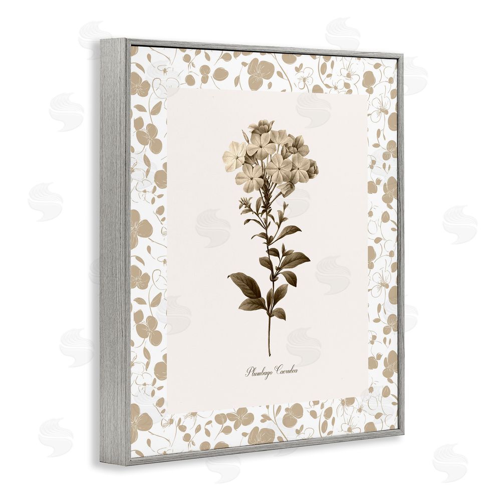 Kelly Donovan Neutral Imperial Botanical Gray Framed Giclee Wall Art Print