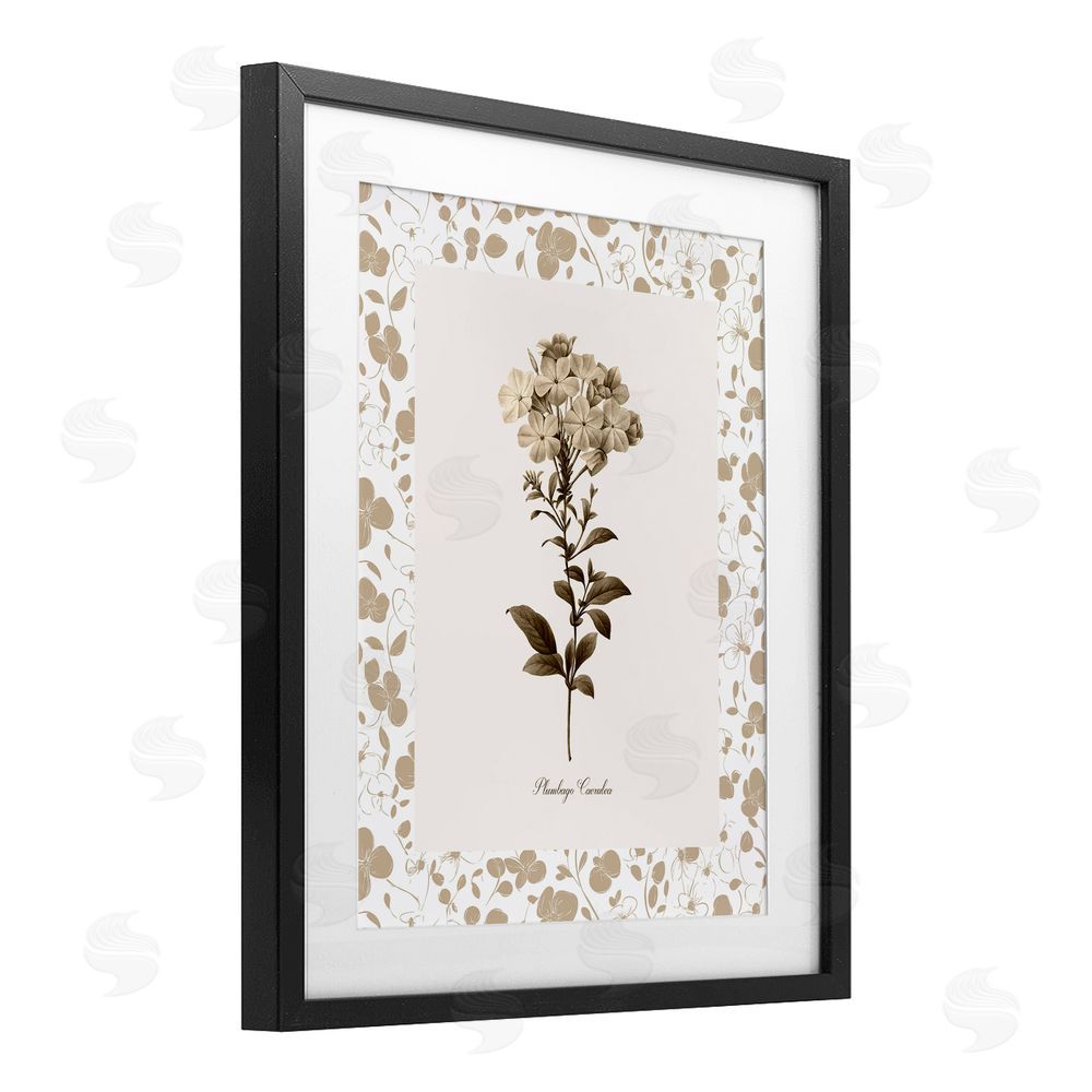 Kelly Donovan Neutral Imperial Botanical Black Framed Print Under Glass Wall Art