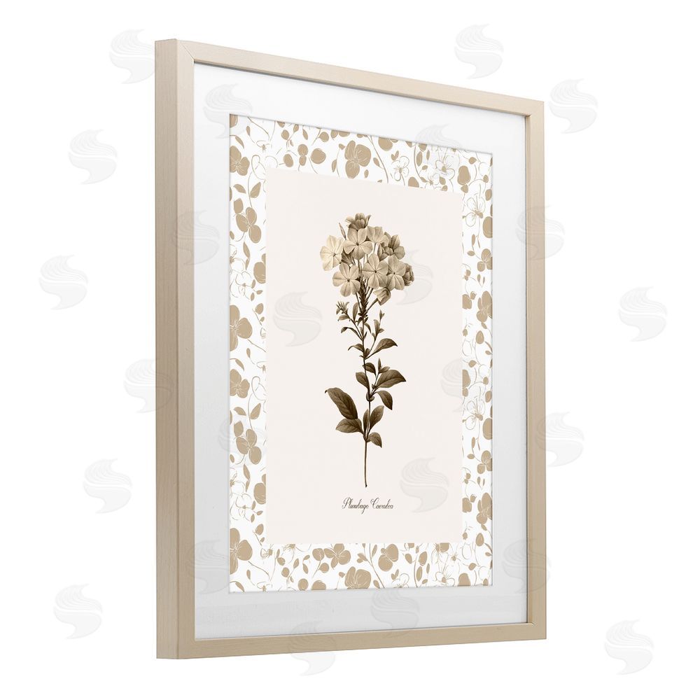 Kelly Donovan Neutral Imperial Botanical Birch Framed Print Under Glass Wall Art