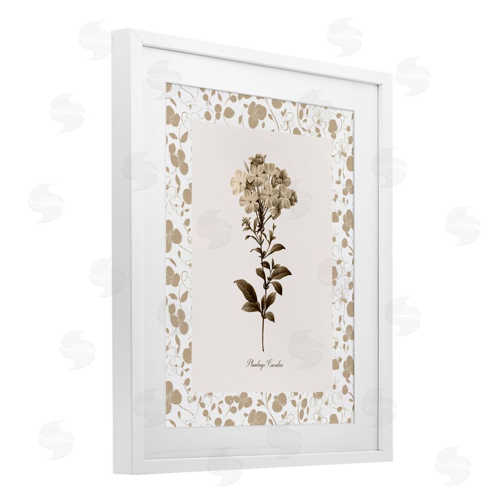 Kelly Donovan Neutral Imperial Botanical White Framed Print Under Glass Wall Art