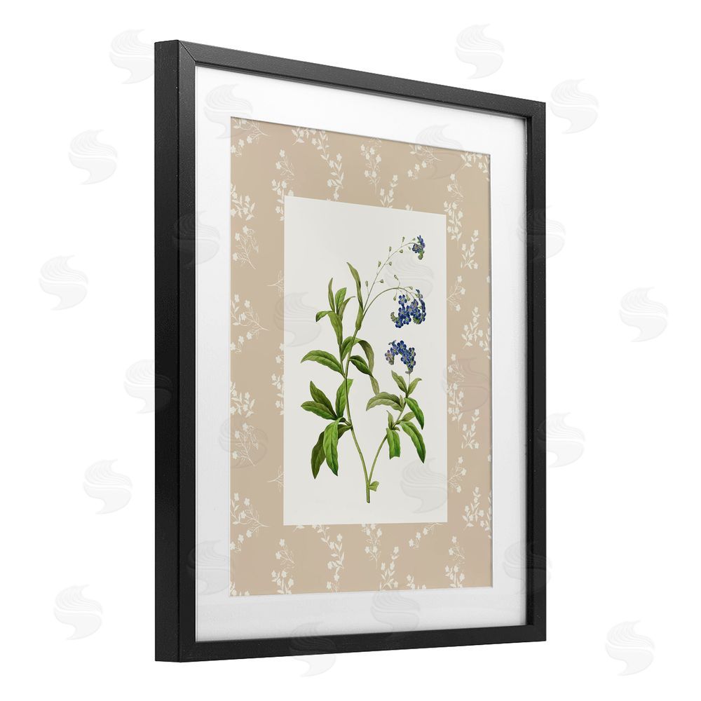 Val Rhodes Botanical Plate Design Black Framed Print Under Glass Wall Art