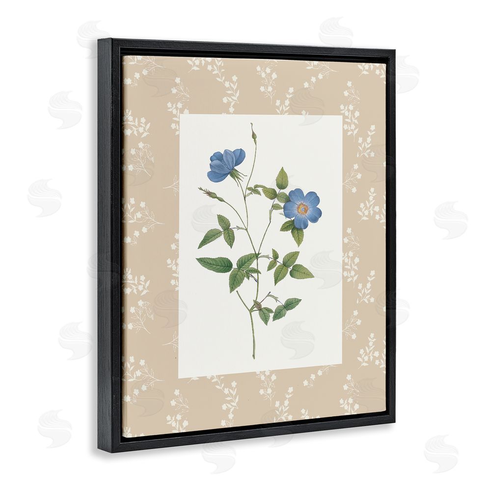Val Rhodes Vintage Botanical Plate Black Floating Frame Canvas Wall Art Print