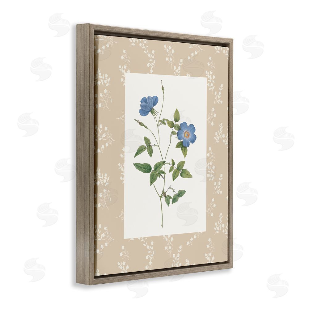 Val Rhodes Vintage Botanical Plate Brown Floating Frame Canvas Wall Art Print