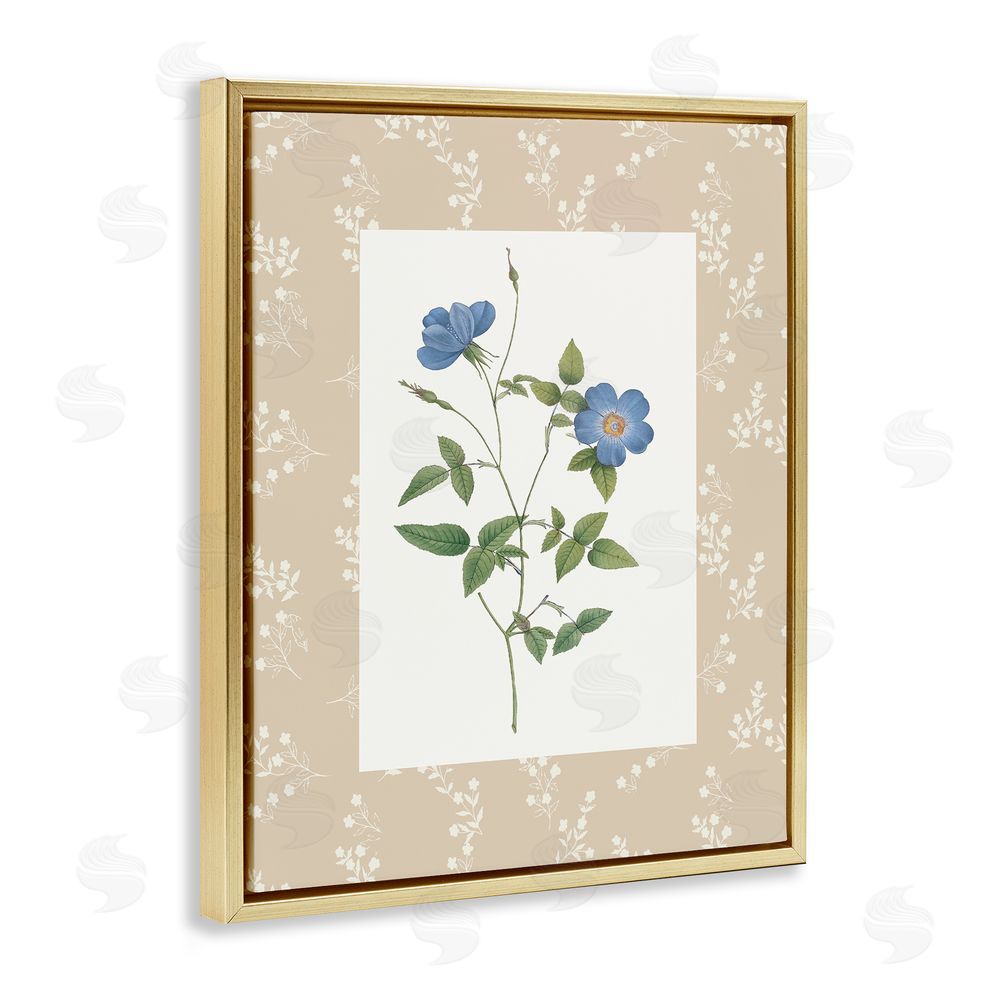 Val Rhodes Vintage Botanical Plate Gold Floating Frame Canvas Wall Art Print
