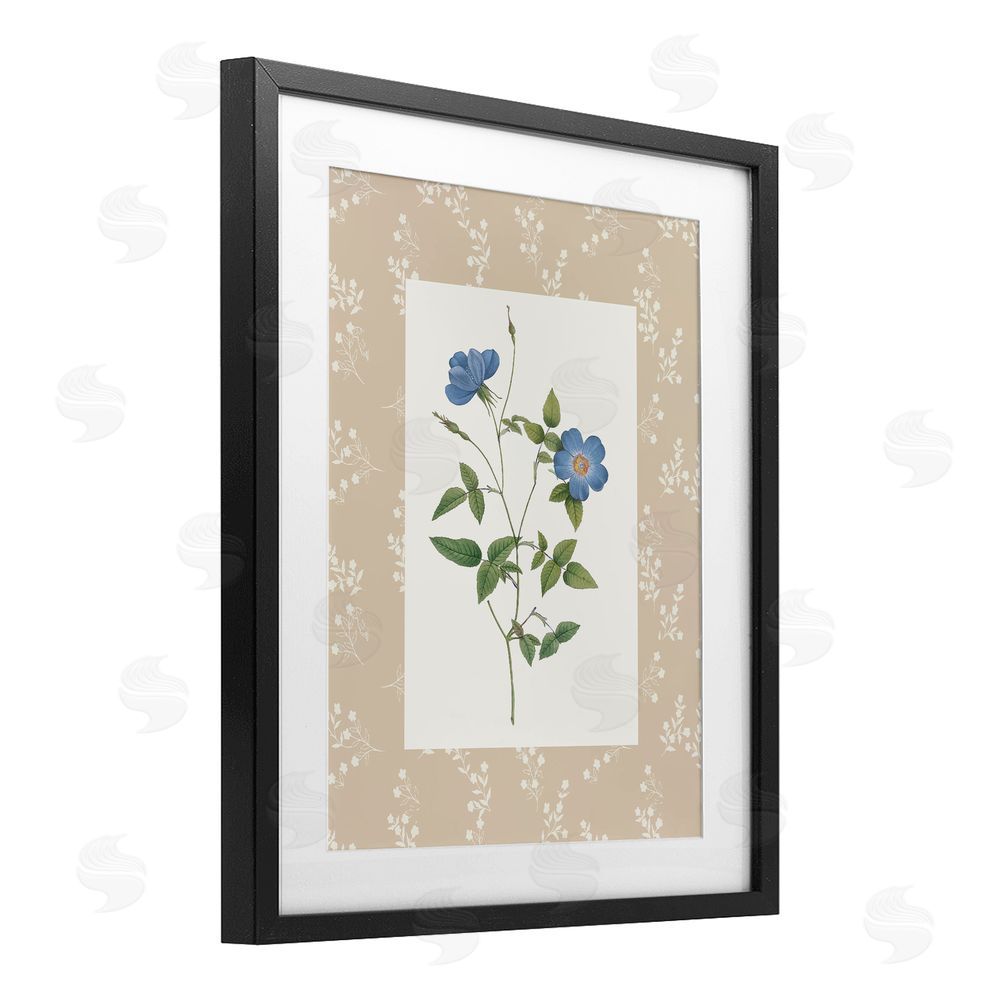 Val Rhodes Vintage Botanical Plate Black Framed Print Under Glass Wall Art