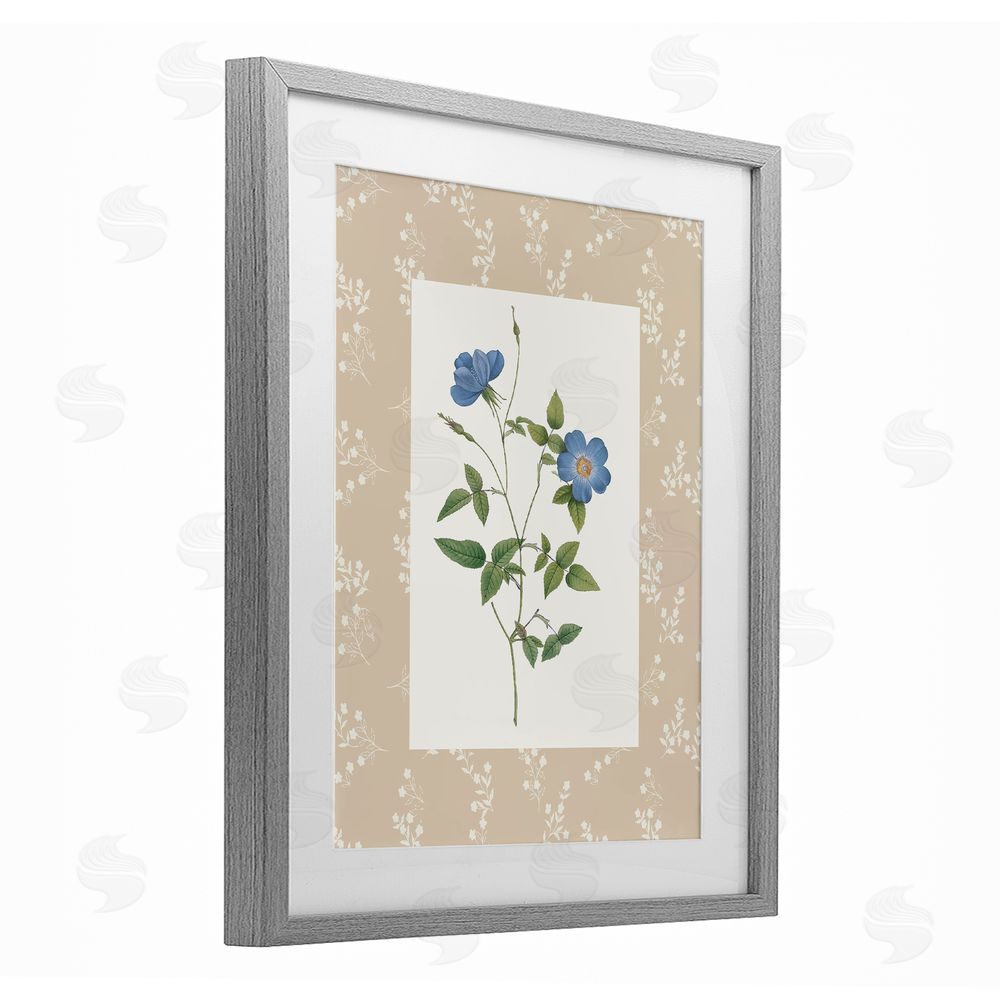 Val Rhodes Vintage Botanical Plate Gray Framed Print Under Glass Wall Art