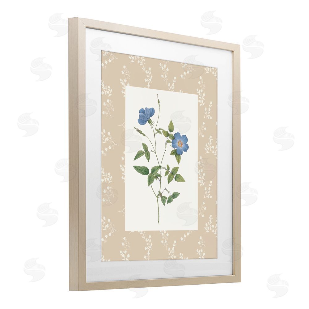 Val Rhodes Vintage Botanical Plate Birch Framed Print Under Glass Wall Art