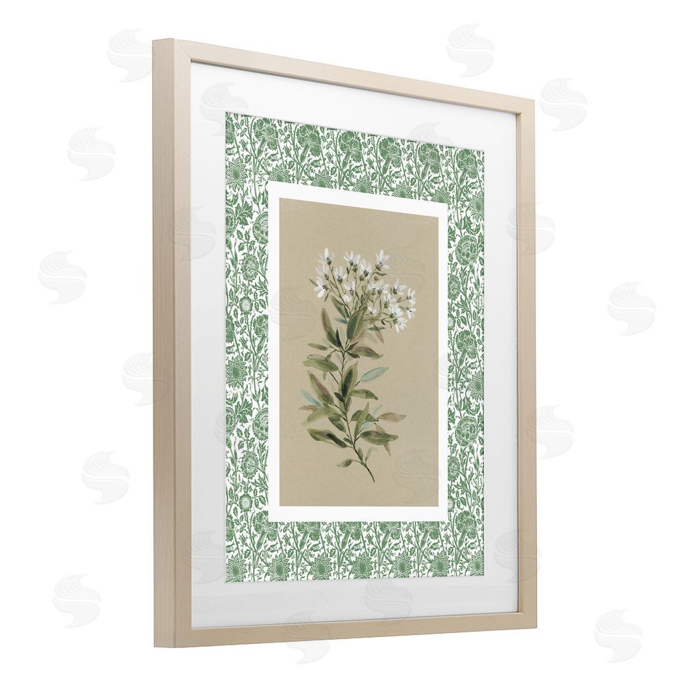 Carol Robinson Green Botanical Pattern Birch Framed Print Under Glass Wall Art
