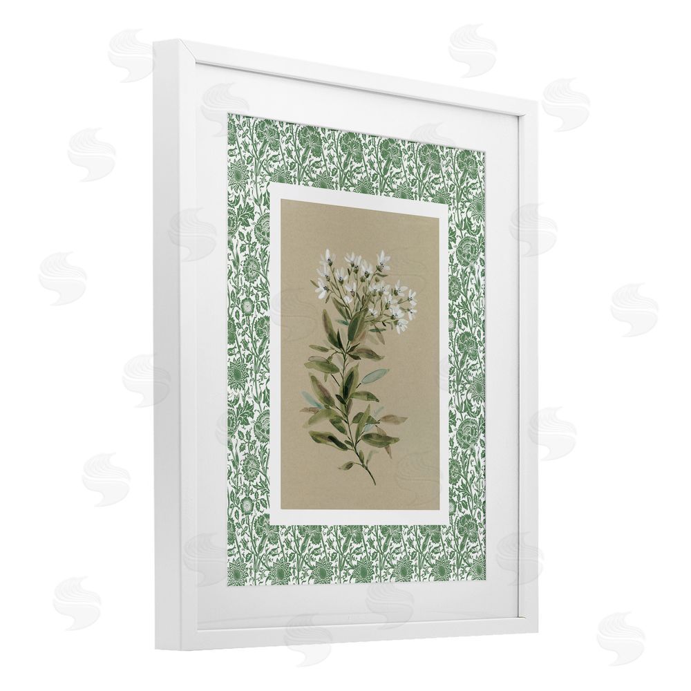 Carol Robinson Green Botanical Pattern White Framed Print Under Glass Wall Art