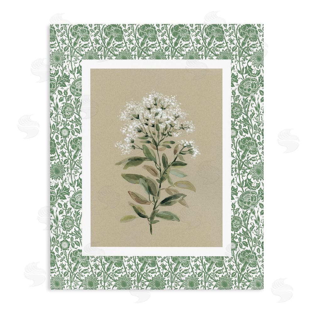Carol Robinson Plant on Green Botanicals Stretched Canvas Wall Art Print