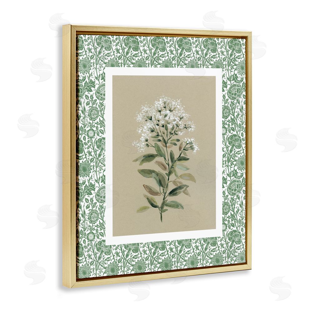 Carol Robinson Plant on Green Botanicals Gold Floating Frame Canvas Wall Art Print