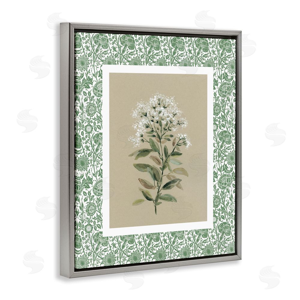 Carol Robinson Plant on Green Botanicals Gray Floating Frame Canvas Wall Art Print