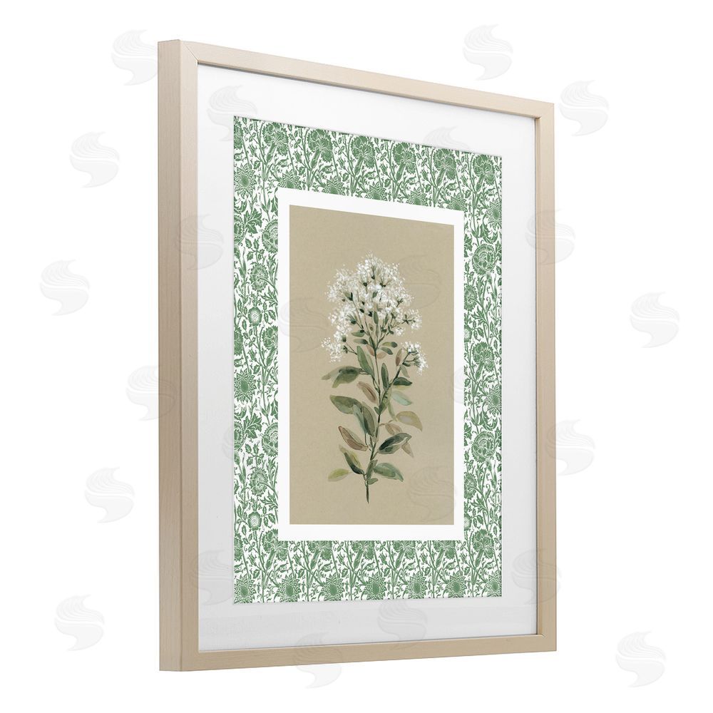 Carol Robinson Plant on Green Botanicals Birch Framed Print Under Glass Wall Art
