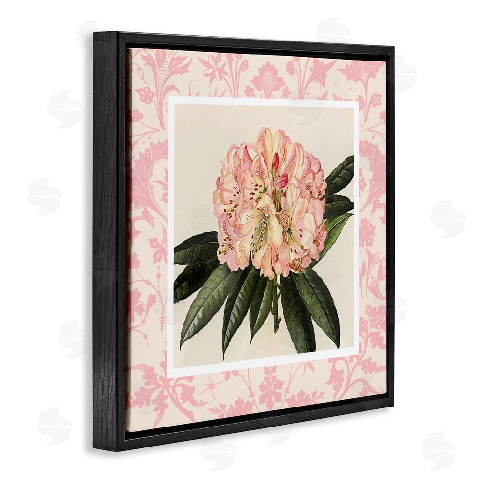 Livi Finn Pink Pattern Botanical Black Floating Frame Canvas Wall Art Print