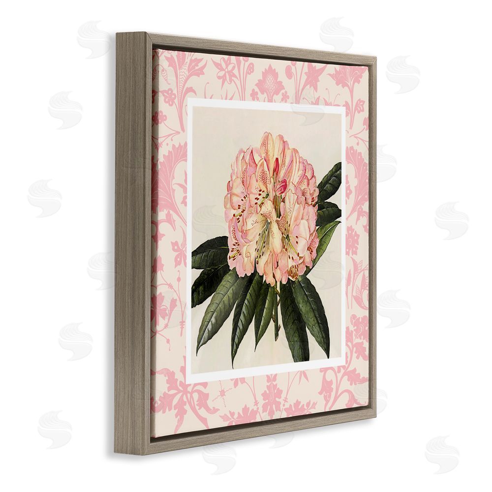 Livi Finn Pink Pattern Botanical Brown Floating Frame Canvas Wall Art Print