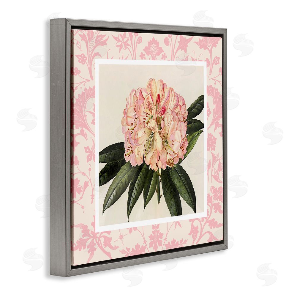 Livi Finn Pink Pattern Botanical Gray Floating Frame Canvas Wall Art Print