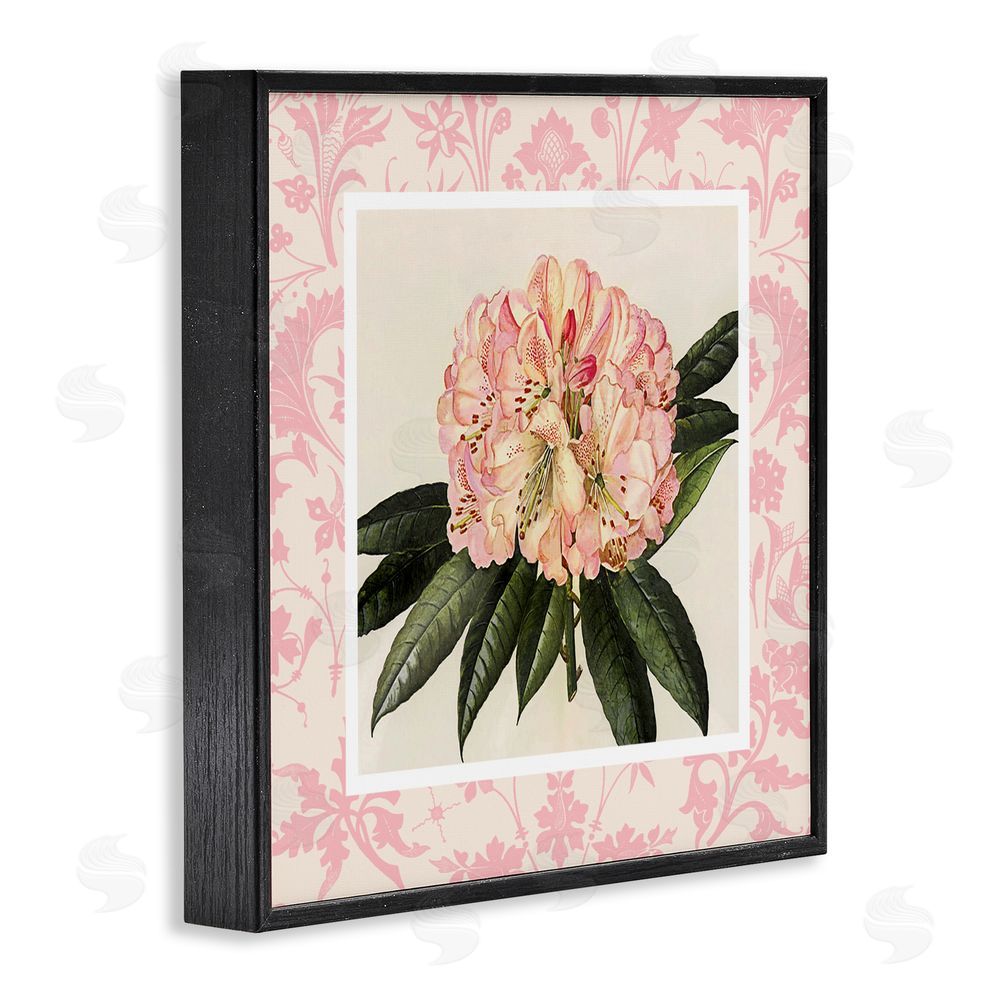 Livi Finn Pink Pattern Botanical Black Framed Giclee Wall Art Print