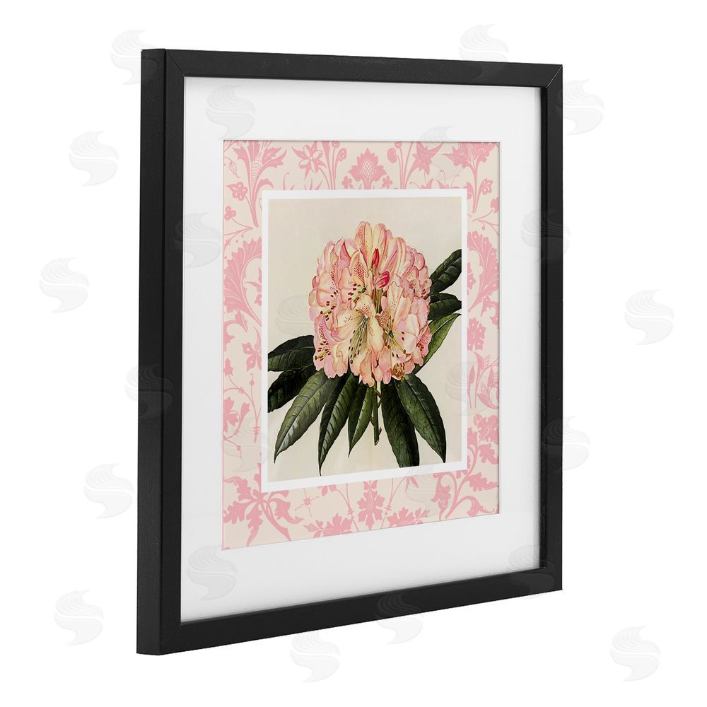 Livi Finn Pink Pattern Botanical Black Framed Print Under Glass Wall Art