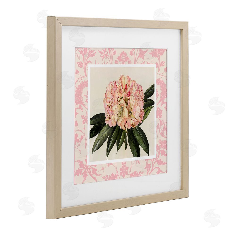 Livi Finn Pink Pattern Botanical Birch Framed Print Under Glass Wall Art