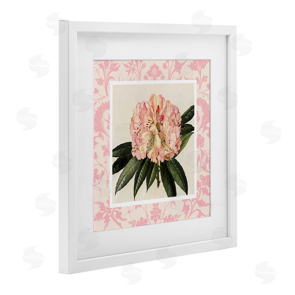 Livi Finn Pink Pattern Botanical White Framed Print Under Glass Wall Art