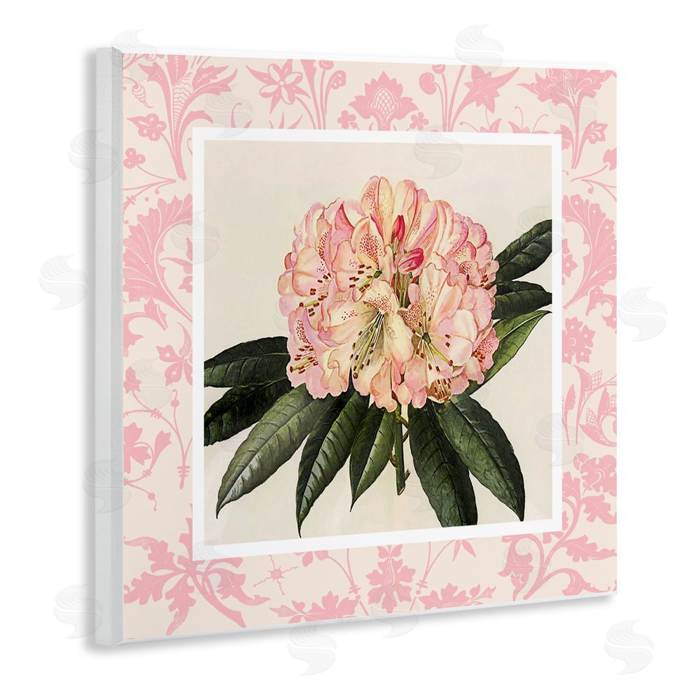 Livi Finn Pink Pattern Botanical Wall Plaque Art Print