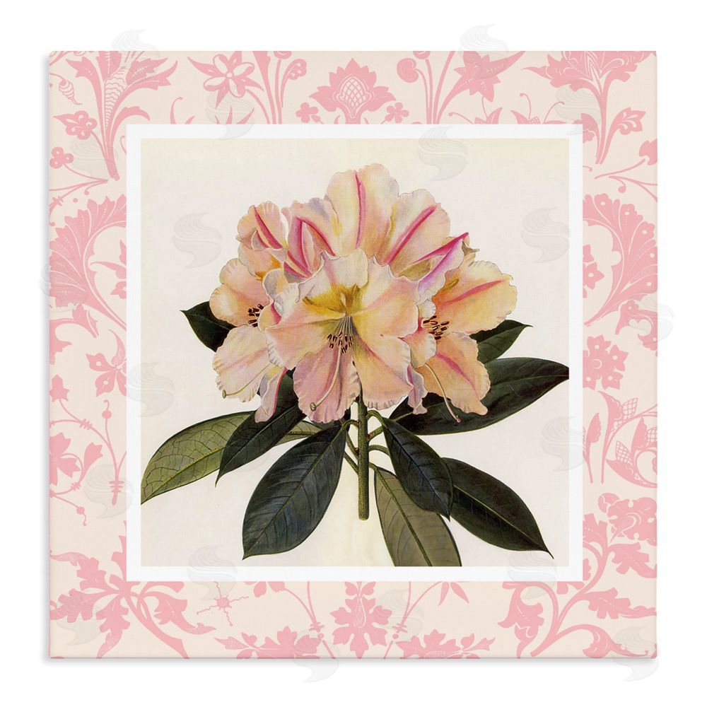 Livi Finn Pink Vintage Pattern Botanical Stretched Canvas Wall Art Print